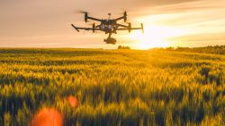 drone on farm