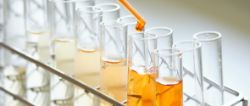 Rows of test tubes in a laboratory