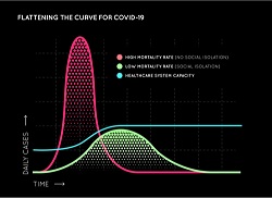 Bell curve